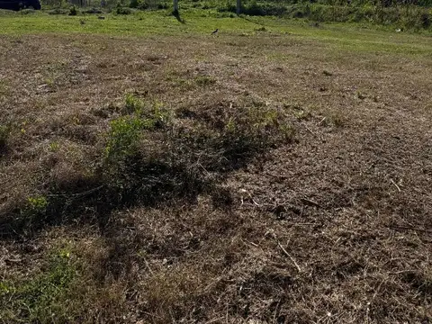 Venta Terreno / Lote Chivilcoy 283m2