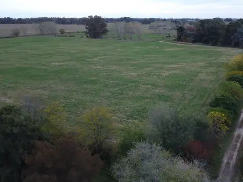 Campo en venta en General Rodríguez