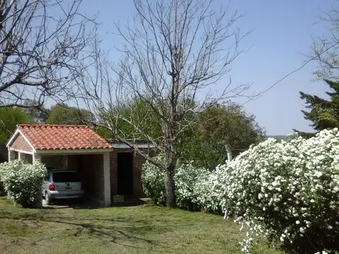 Teodoro Fels 100