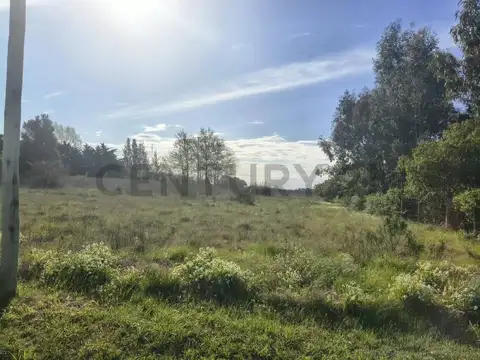 Los Platanos e/ Las Palmeras y Liquidambar , Piso 0