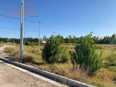 Terreno en Venta en Plottier, USD 18.500