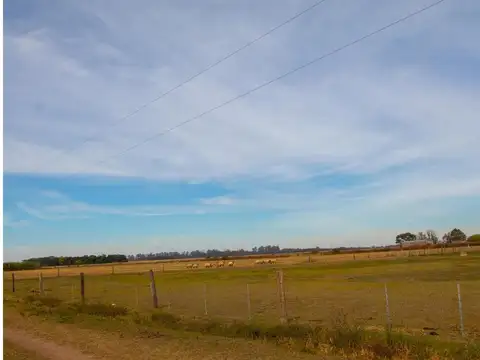 Terreno en Venta en Alvarez, USD 130.000