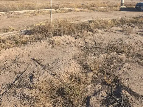 Barrio VILLA GUADALUPE MD-Lote 11 Cruz Videla s/n