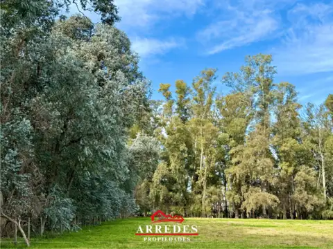 Venta · Lote con bosque de 5971m2 · Financiación ·  Capilla del Señor 100