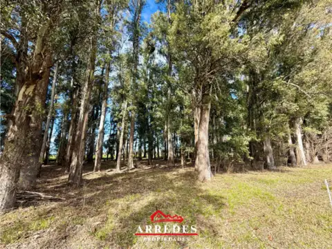 Venta · Lote con bosque de 5971m2 · Financiación ·  Capilla del Señor
