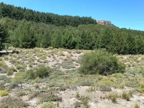 lote en venta soleado y lindas vistas en Meliquina