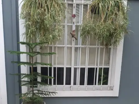 Cdte Guemes Torino 100, Piso PB