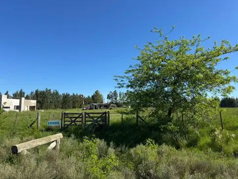 Terreno en Venta de 10184,0 m2