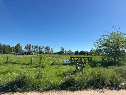 Terreno en Venta de 10184,0 m2