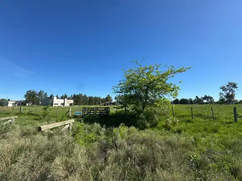 1 Hectarea en venta Cañuelas