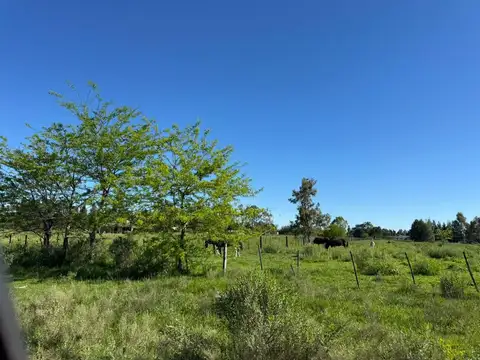 Terreno en Venta en Cañuelas, USD 82.000