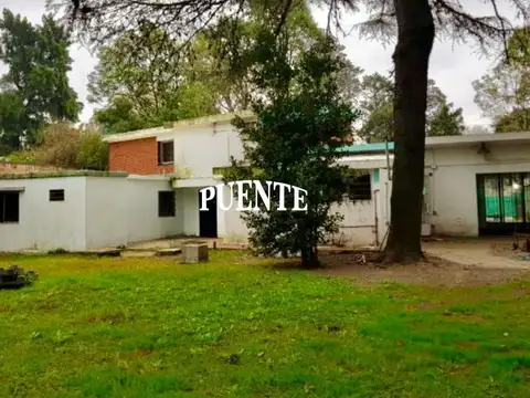 Pedro Dreyer al al 1500