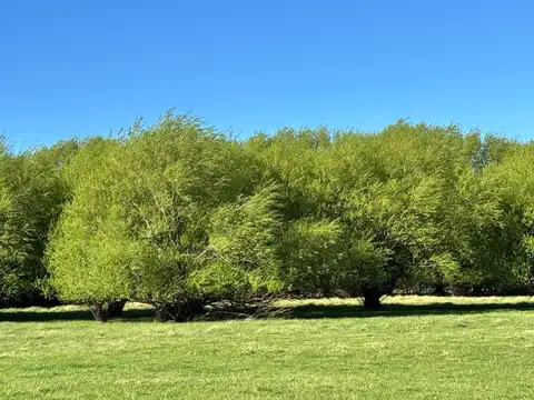 Terreno en Venta en Aldea Escolar, Futaleufú