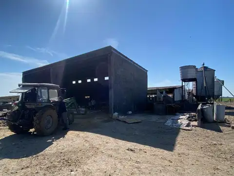 ESTABLECIMIENTO DE CRIADERO DE CERDOS PARA 350 MADRES