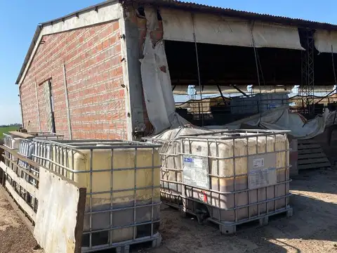 Campo en Venta Ganadero