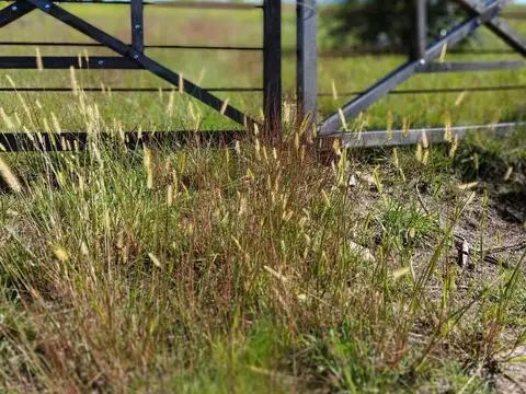 VENTA LOTE EN JUANA URBANA YACANTO CALAMUCHITA