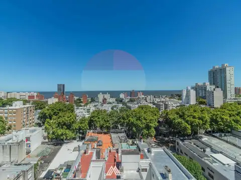 ALQUILER APTO 2 DORMITORIOS RECICLADO A NUEVO