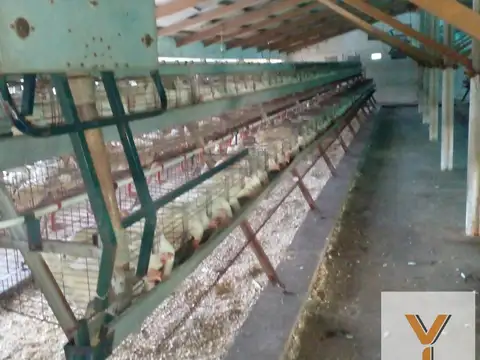 Fondo Comercio en Venta en Mar del Plata, USD 1.000.000