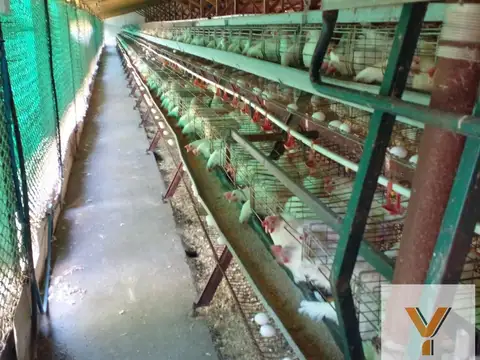 Fondo Comercio en Venta 50 años