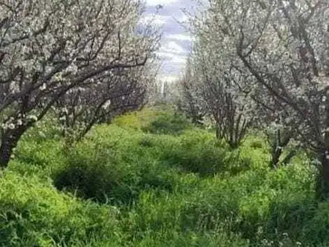 Oficina en Venta en Los Claveles, USD 67.000