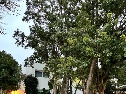 Abril Club de Campo - El Molino