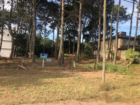 Lote sobre asfalto, av 4 a 5 cuadras de la playa 