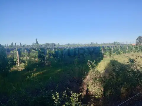 Campo en Venta de 6  ha