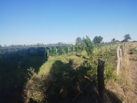 Colonia Elena , Piso 0