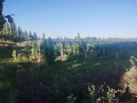 Campo en Venta de 6  ha