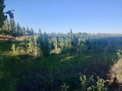 Colonia Elena , Piso 0