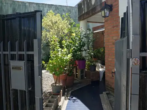 San Pedro 6600