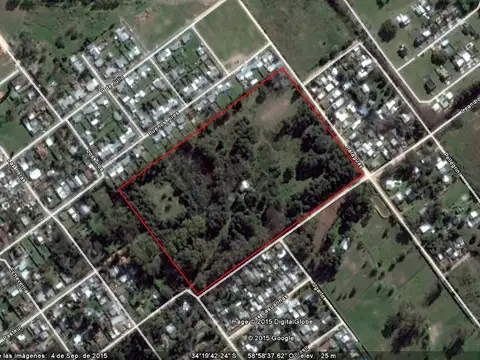 Leandro N. Alem Nº 700