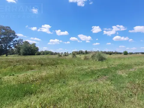 Pinares Country Club Ruta 193 Exaltación de la Cruz