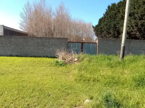 Avenida Libertad 9000