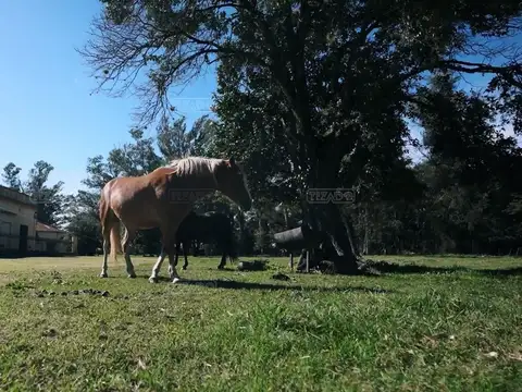 Terreno en Venta de 810,0 m2