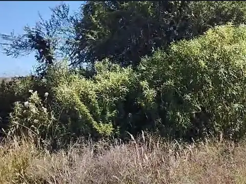 Nicolás de Avellaneda 600