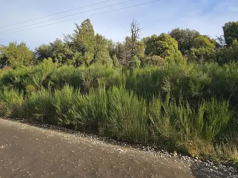 Terreno en Venta en Puerto, USD 550.000