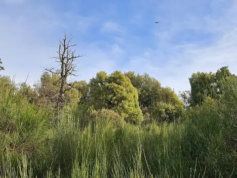 Terreno en Venta de 4196,0 m2