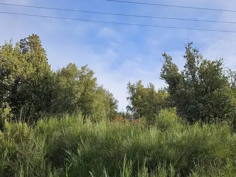 Las Balsas Osa Mayor