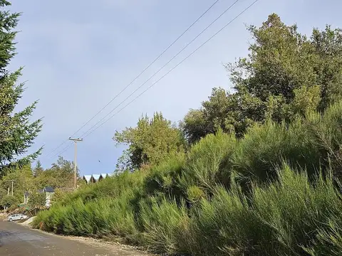Terreno en Venta de 4196,0 m2