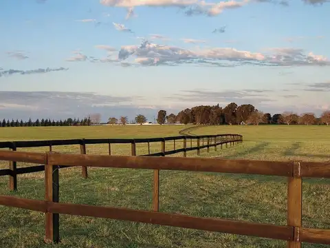 Terreno en Venta de 20000,0 m2