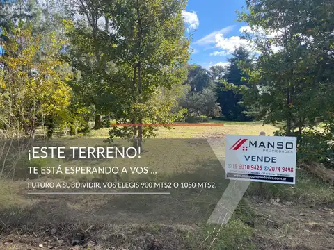 Terreno en  Ceretti ante esquina Gibson