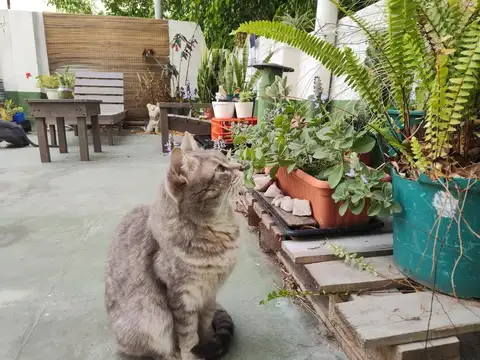 Depto Tipo Casa en Venta de 4 dormitorios