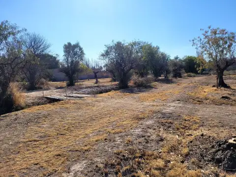 VENTA DE TERRENO FINANCIADO(2 HECTAREAS)EN MAIPU