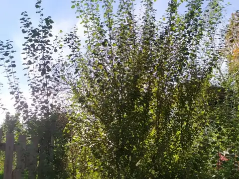 Lote sobre Av Montecarlo Excelente ubicación