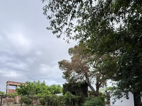 Chacabuco 1200