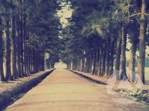 Campo en Venta - San Vicente