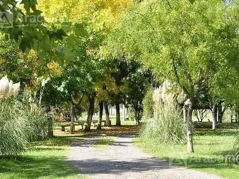 Campo en Venta - San Vicente