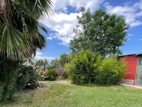 EL PLUMERILLO