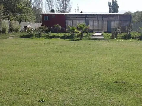 EL PLUMERILLO